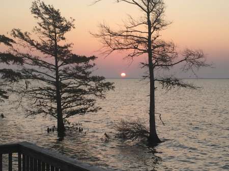 Lodging for Duck Waterfowl Hunting Lake Mattamuskeet Hyde County NC Pamlico Sound. Third generation, local duck goose swan hunting guide.