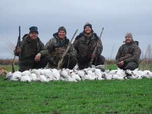 Photo Duck Waterfowl Hunting Hyde County Mattamuskeet Pamlico Sound guide guides swan geese goose